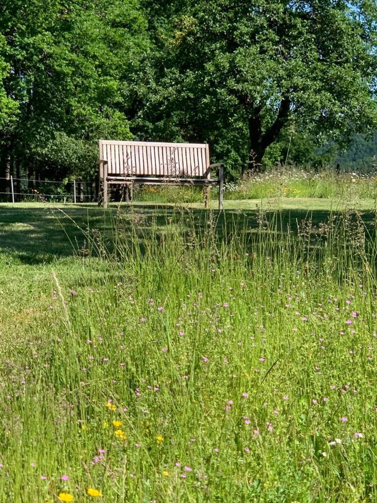 Euscheid Urlaub Mit Hund Auf Dem Bauernhof Hofswald 아파트 외부 사진