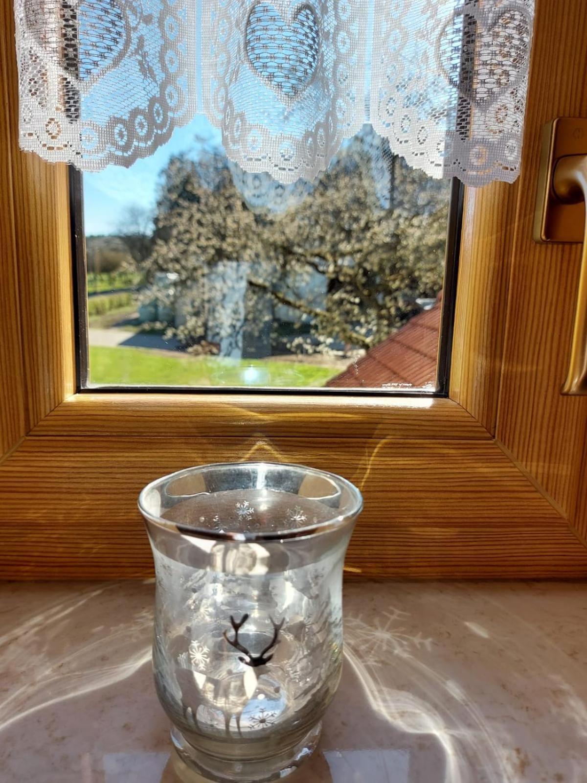 Euscheid Urlaub Mit Hund Auf Dem Bauernhof Hofswald 아파트 외부 사진